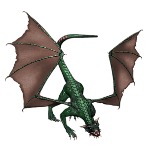 <b>Drache</b> ist ein jugendlicher Drache. Gutes Training bereitet den jungen Drachen optimal auf seine Aufgaben in der Arena vor.