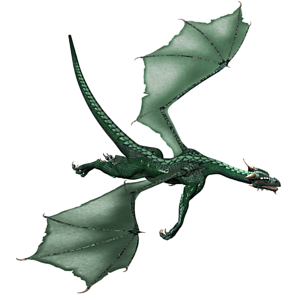 <b> Cheilinus undulatus 52</b> ist ein erfahrener, erwachsener Drache.